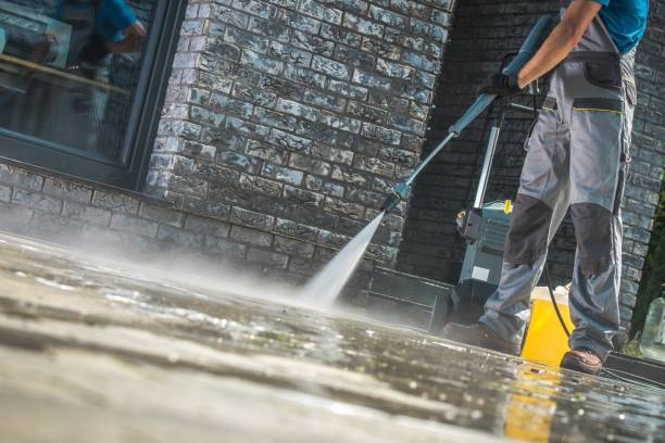 Best Gutter Cleaning  in Lavallette, NJ